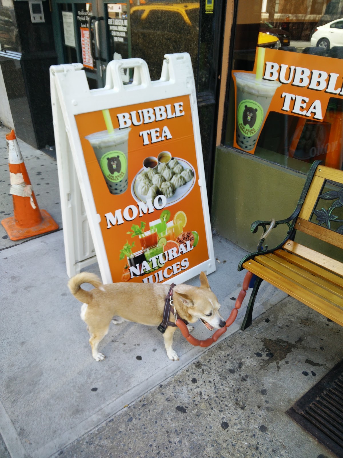 Photo of Big Bear Bubble Tea in Queens City, New York, United States - 4 Picture of Food, Point of interest, Establishment, Cafe