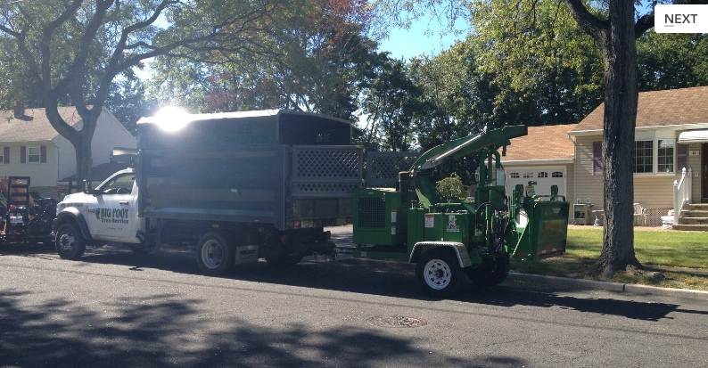 Photo of Big Foot Tree Service LLC in Wayne City, New Jersey, United States - 4 Picture of Point of interest, Establishment