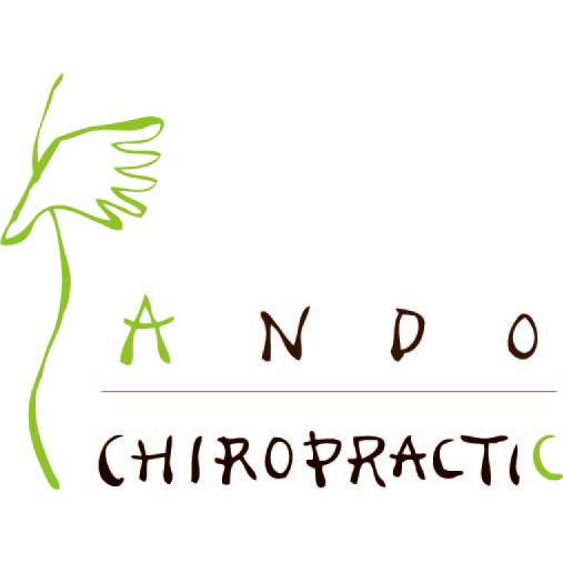 Photo of Ando Chiropractic in Edgewater City, New Jersey, United States - 2 Picture of Point of interest, Establishment, Health