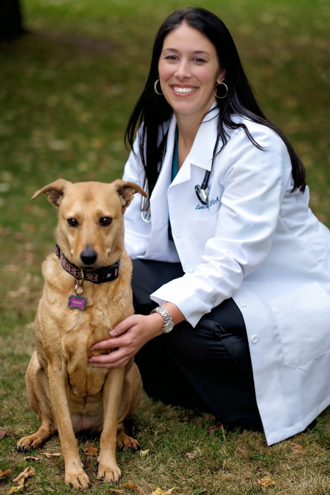 Photo of Westbury Animal Hospital in Westbury City, New York, United States - 3 Picture of Point of interest, Establishment, Health, Veterinary care