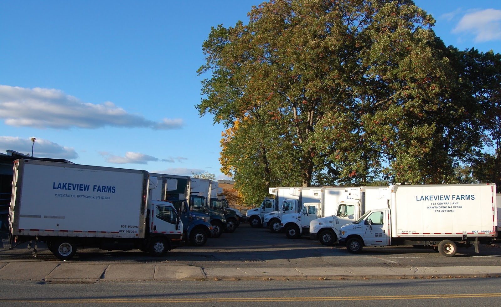 Photo of Lakeview Farms Inc - Food Distributor in Hawthorne City, New Jersey, United States - 3 Picture of Food, Point of interest, Establishment, Store