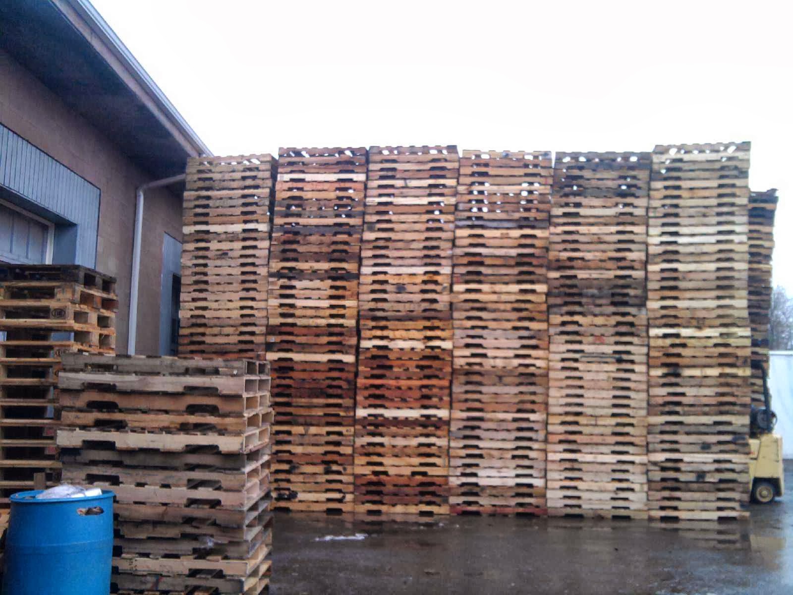 Photo of H & M PALLETS in Elizabeth City, New Jersey, United States - 2 Picture of Point of interest, Establishment