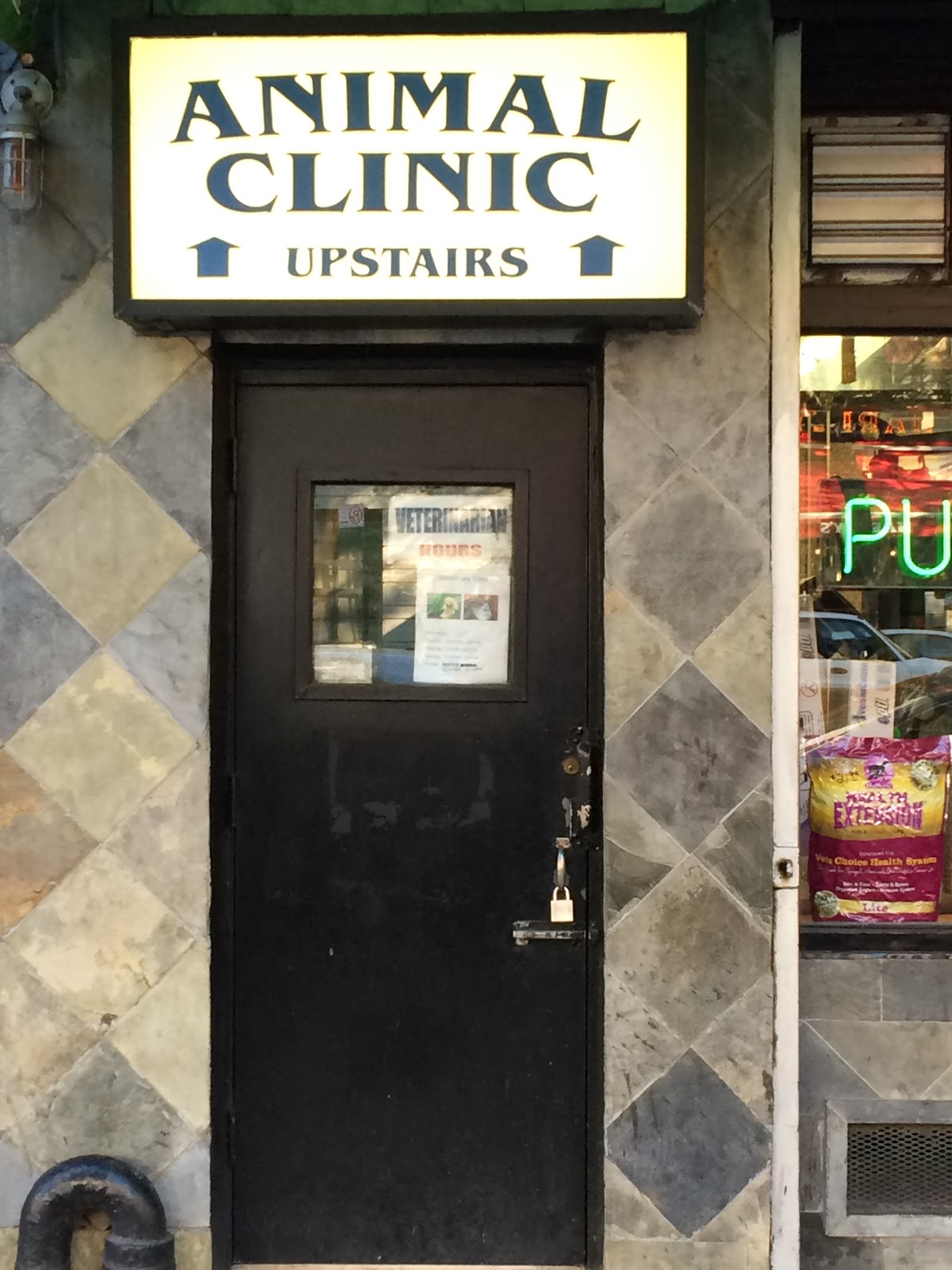 Photo of Ideal Pet Veterinary Clinic in New York City, New York, United States - 10 Picture of Point of interest, Establishment, Health, Veterinary care