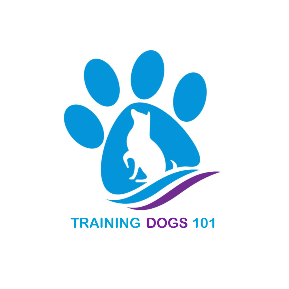 Photo of Training Dogs 101 in Maspeth City, New York, United States - 6 Picture of Point of interest, Establishment