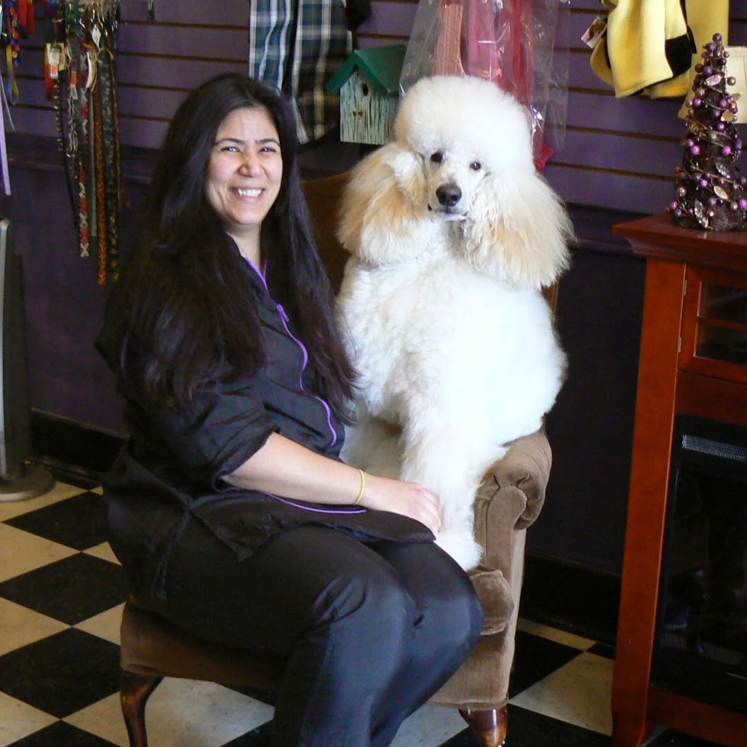 Photo of Mimi's VIP Pet Salon & Boutique in Hasbrouck Heights City, New Jersey, United States - 1 Picture of Point of interest, Establishment