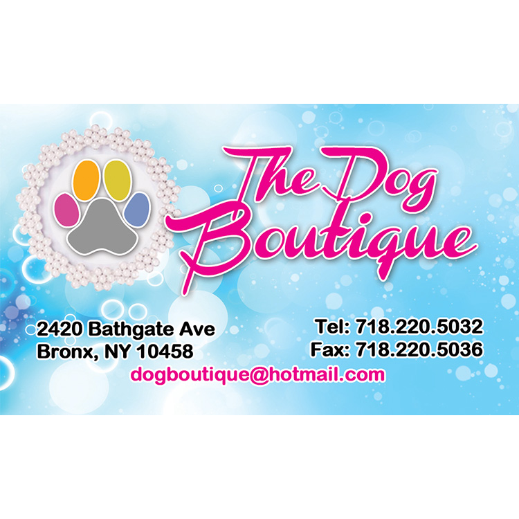 Photo of The Dog Boutique in Bronx City, New York, United States - 4 Picture of Point of interest, Establishment, Store, Pet store