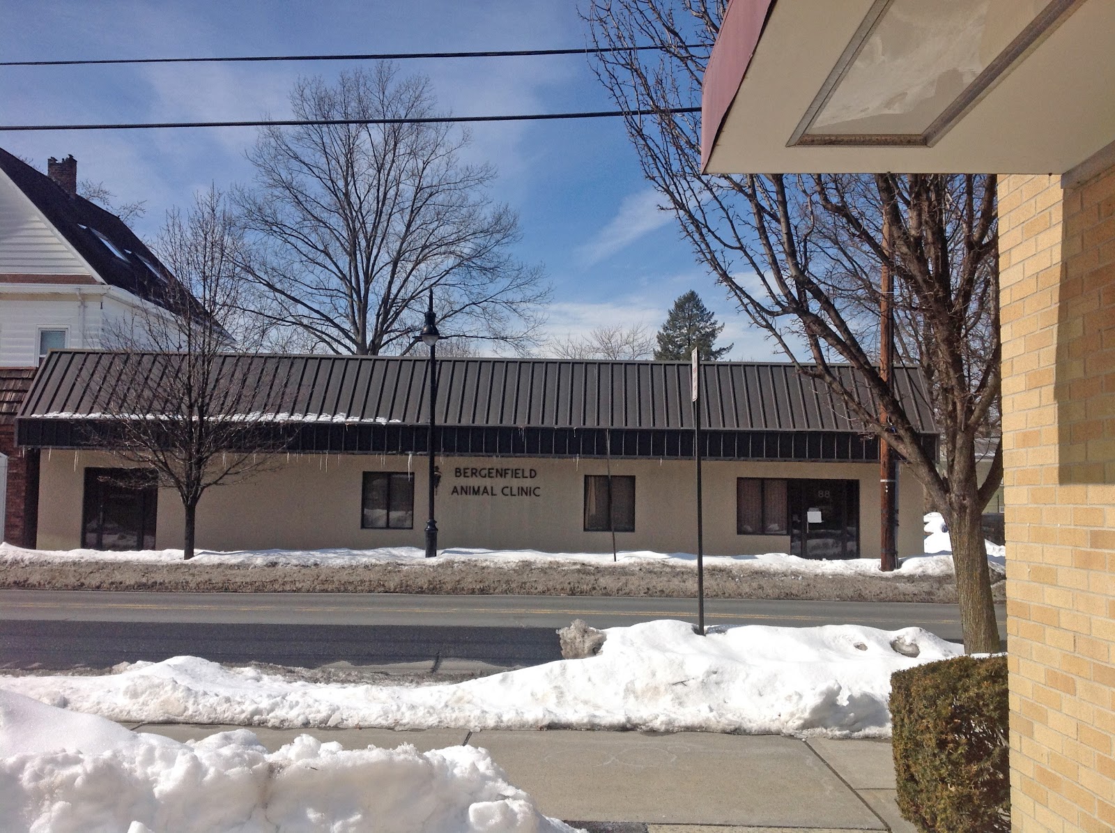 Photo of Bergenfield Animal Clinic in Bergenfield City, New Jersey, United States - 2 Picture of Point of interest, Establishment, Veterinary care