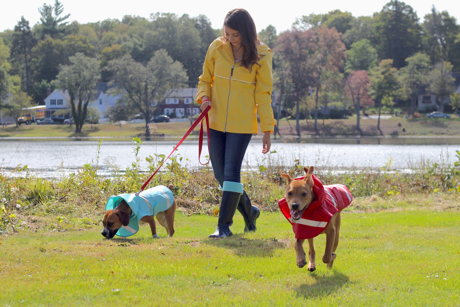 Photo of Doggie Rain Jacket in Garden City, New York, United States - 3 Picture of Point of interest, Establishment