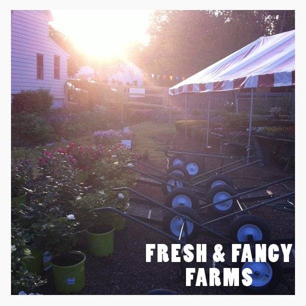 Photo of Fresh & Fancy Farms in New Milford City, New Jersey, United States - 8 Picture of Food, Point of interest, Establishment, Store, General contractor