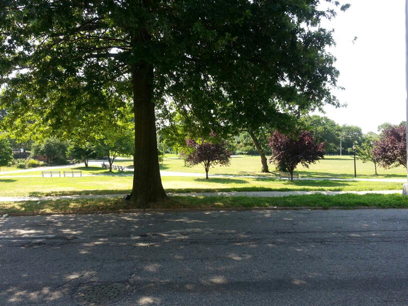 Photo of Saint Albans Memorial Park in Jamaica City, New York, United States - 1 Picture of Point of interest, Establishment, Park