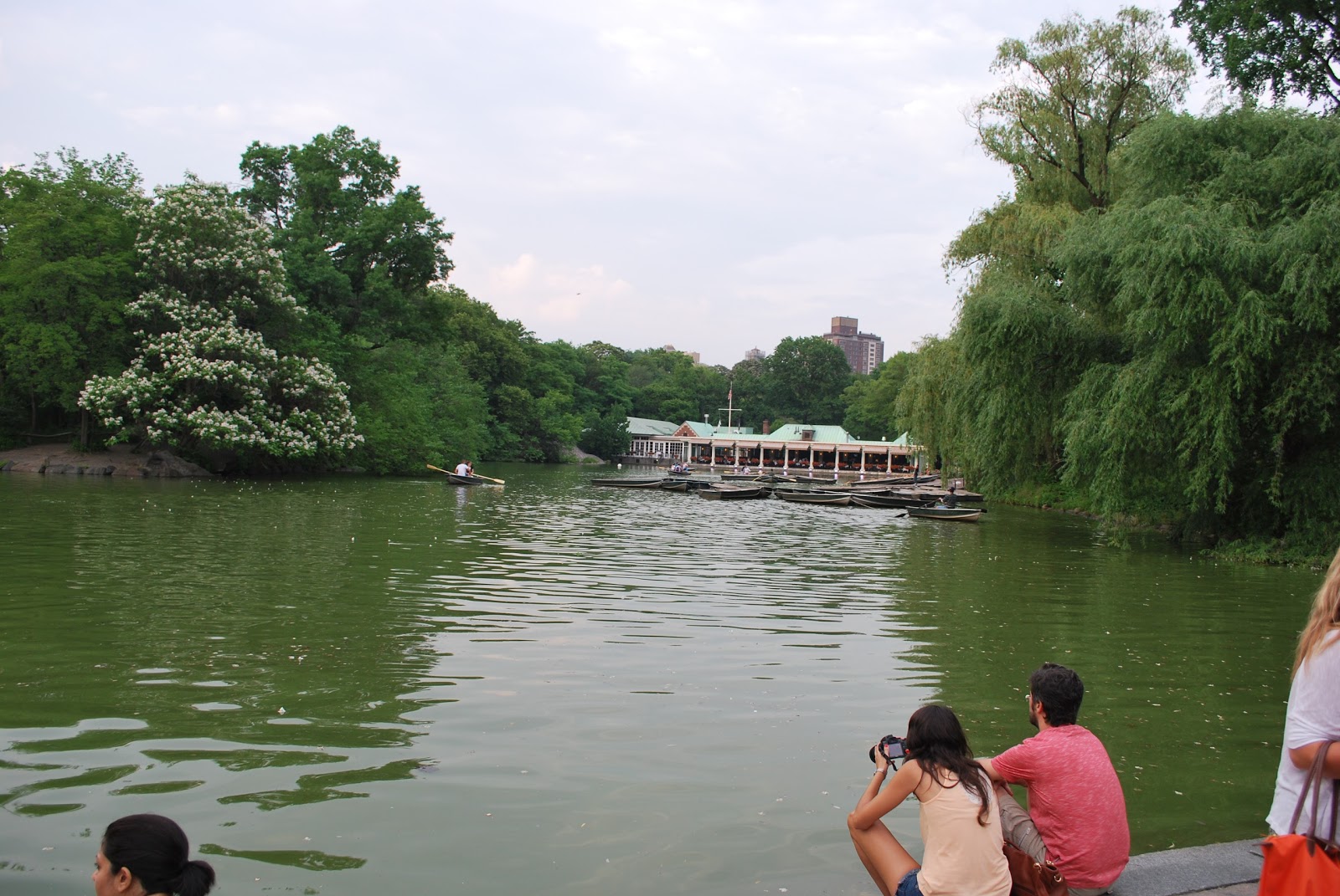 Photo of Turtle Lake in New York City, New York, United States - 1 Picture of Point of interest, Establishment, Park