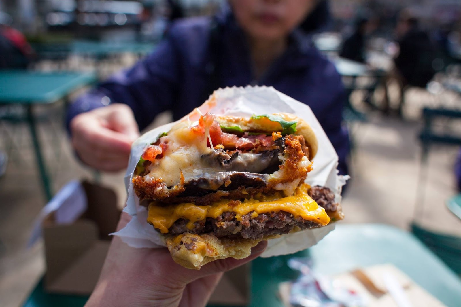 Photo of Shake Shack in North New Hyde Park City, New York, United States - 7 Picture of Restaurant, Food, Point of interest, Establishment, Store