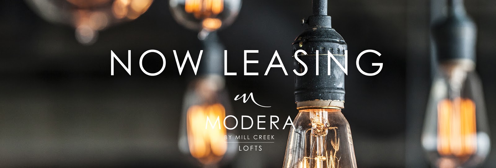 Photo of Modera Lofts Apartments in Jersey City, New Jersey, United States - 5 Picture of Point of interest, Establishment, Real estate agency
