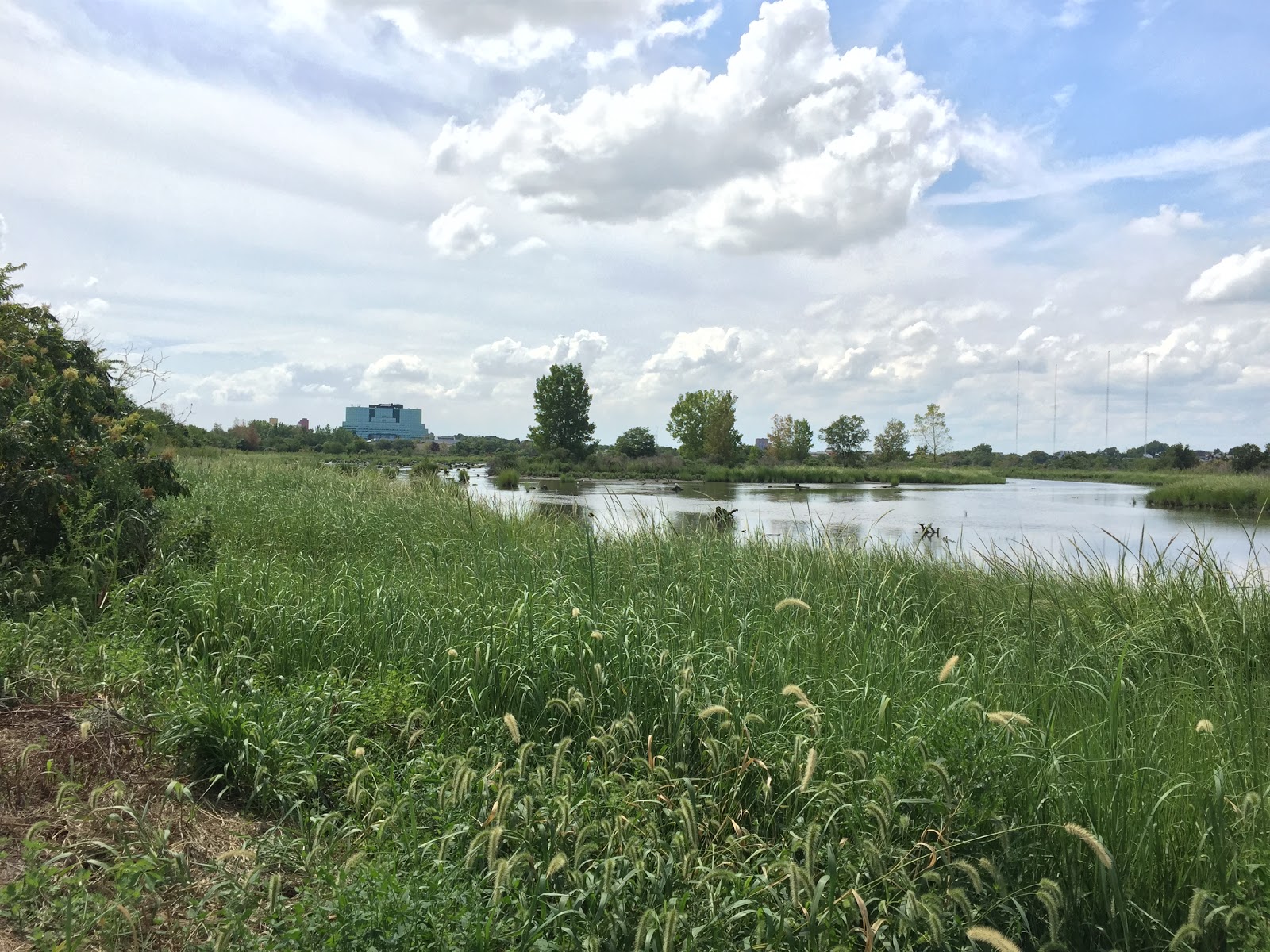 Photo of Mill Creek Marsh Trail in Secaucus City, New Jersey, United States - 1 Picture of Point of interest, Establishment, Park