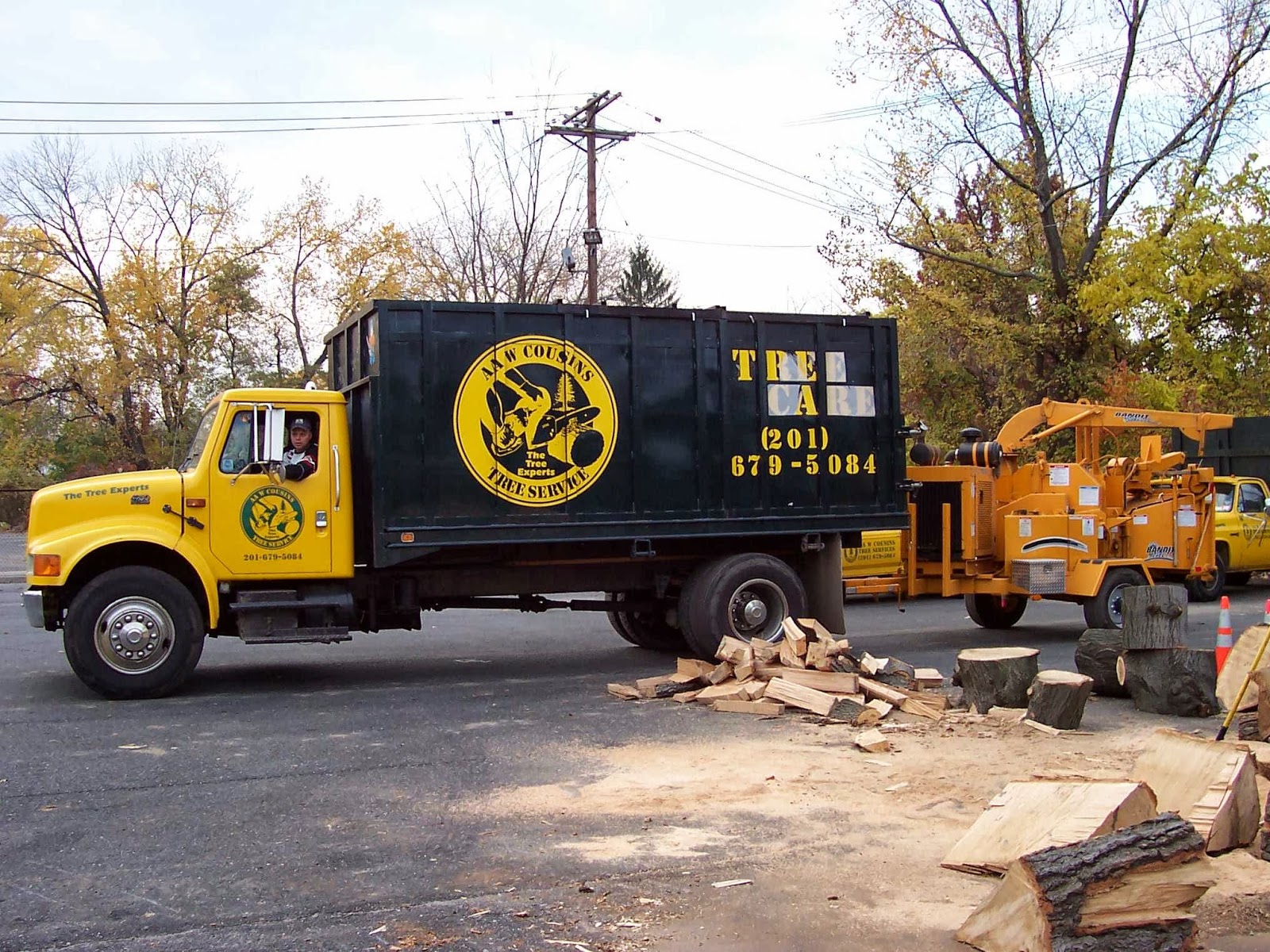 Photo of AAW Cousins Tree Service in Englewood City, New Jersey, United States - 1 Picture of Point of interest, Establishment