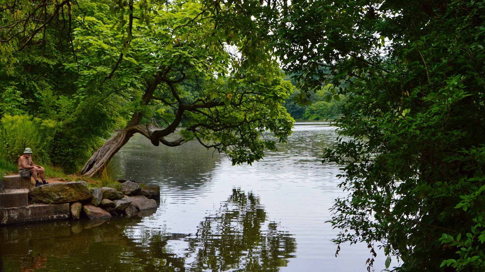 Photo of Friends of Van Cortlandt Park in Bronx City, New York, United States - 3 Picture of Point of interest, Establishment, Park