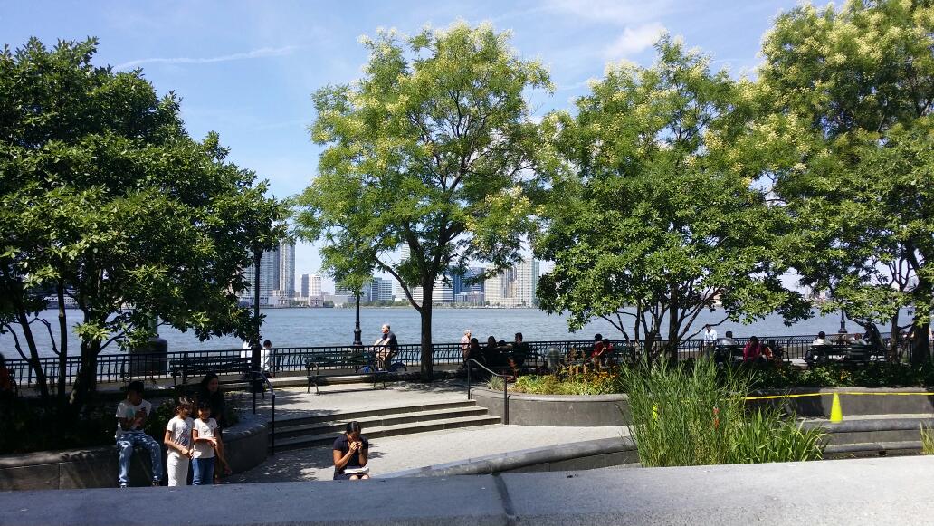 Photo of Nelson A. Rockefeller Park in New York City, New York, United States - 4 Picture of Point of interest, Establishment, Park