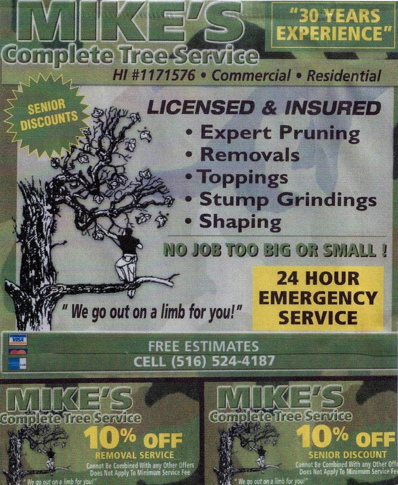 Photo of Mike's Complete Tree Services in East Rockaway City, New York, United States - 8 Picture of Point of interest, Establishment