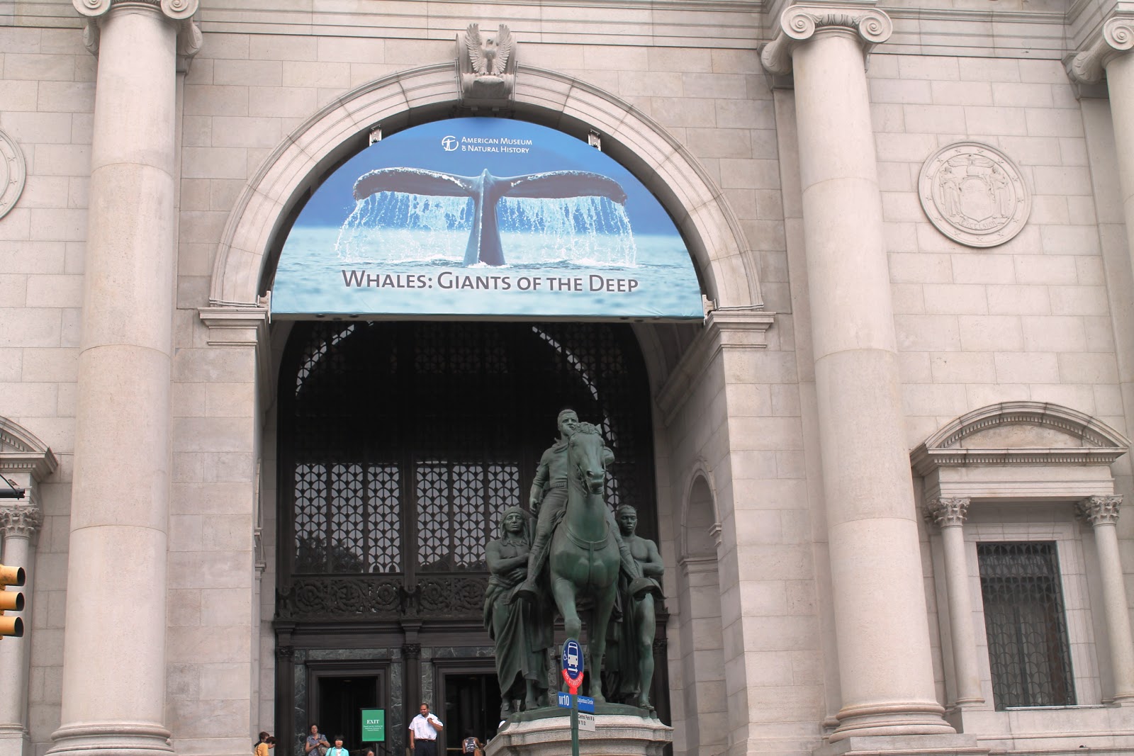 Photo of Museo De Ciencias Naturales in New York City, New York, United States - 3 Picture of Point of interest, Establishment, Museum