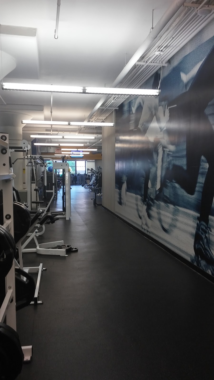Photo of New York Sports Clubs in New York City, New York, United States - 4 Picture of Point of interest, Establishment, Health, Gym