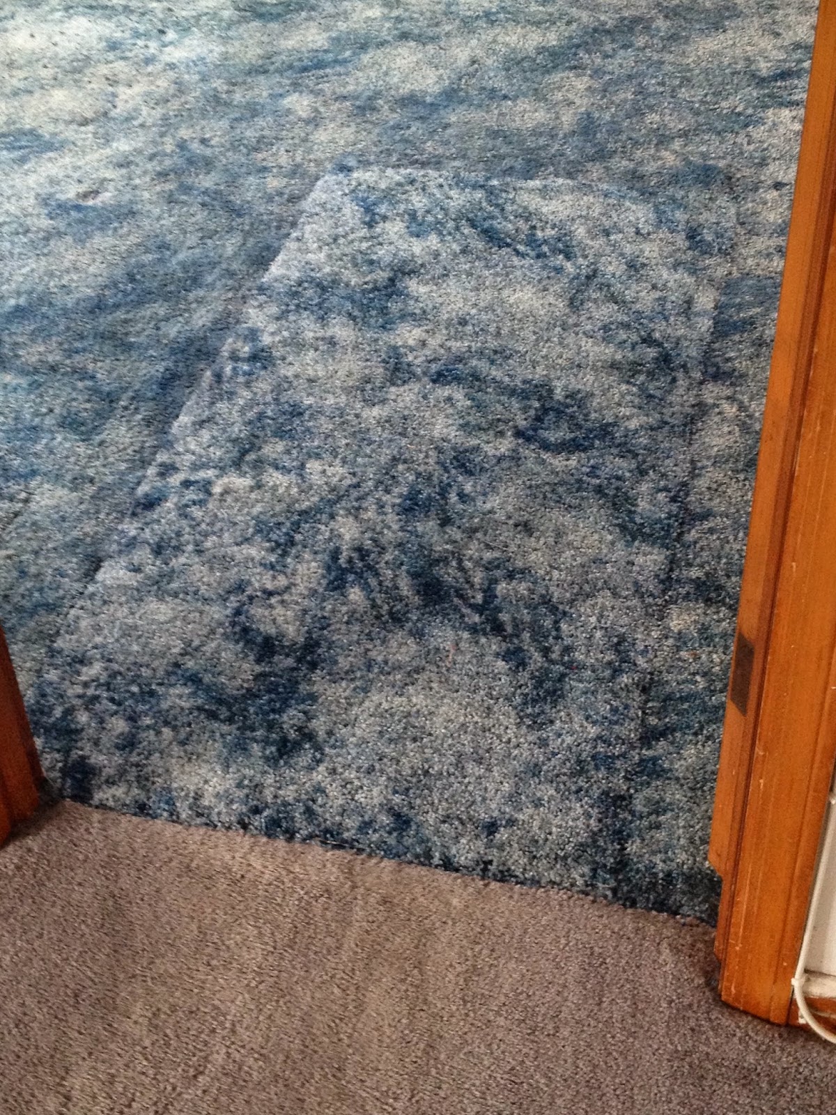 Photo of All American Dry Carpet & Upholstery Cleaning in Hackensack City, New Jersey, United States - 3 Picture of Point of interest, Establishment, General contractor, Laundry