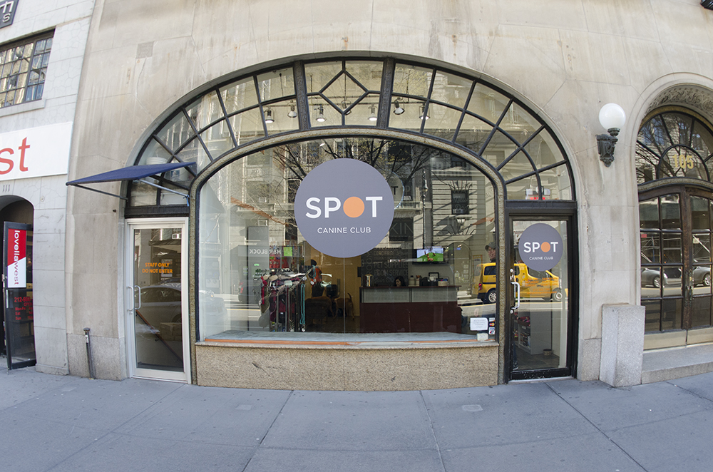 Photo of SPOT Canine Club - Upper West Side in New York City, New York, United States - 4 Picture of Point of interest, Establishment