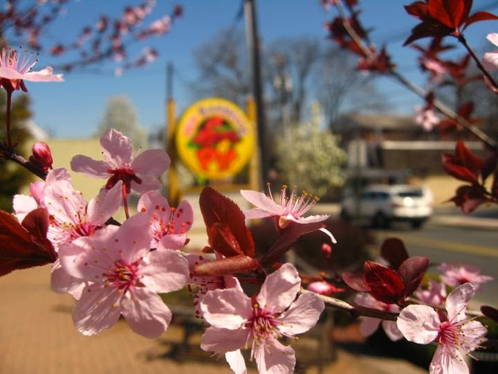 Photo of New Barbecue Pit in Bergenfield City, New Jersey, United States - 2 Picture of Restaurant, Food, Point of interest, Establishment