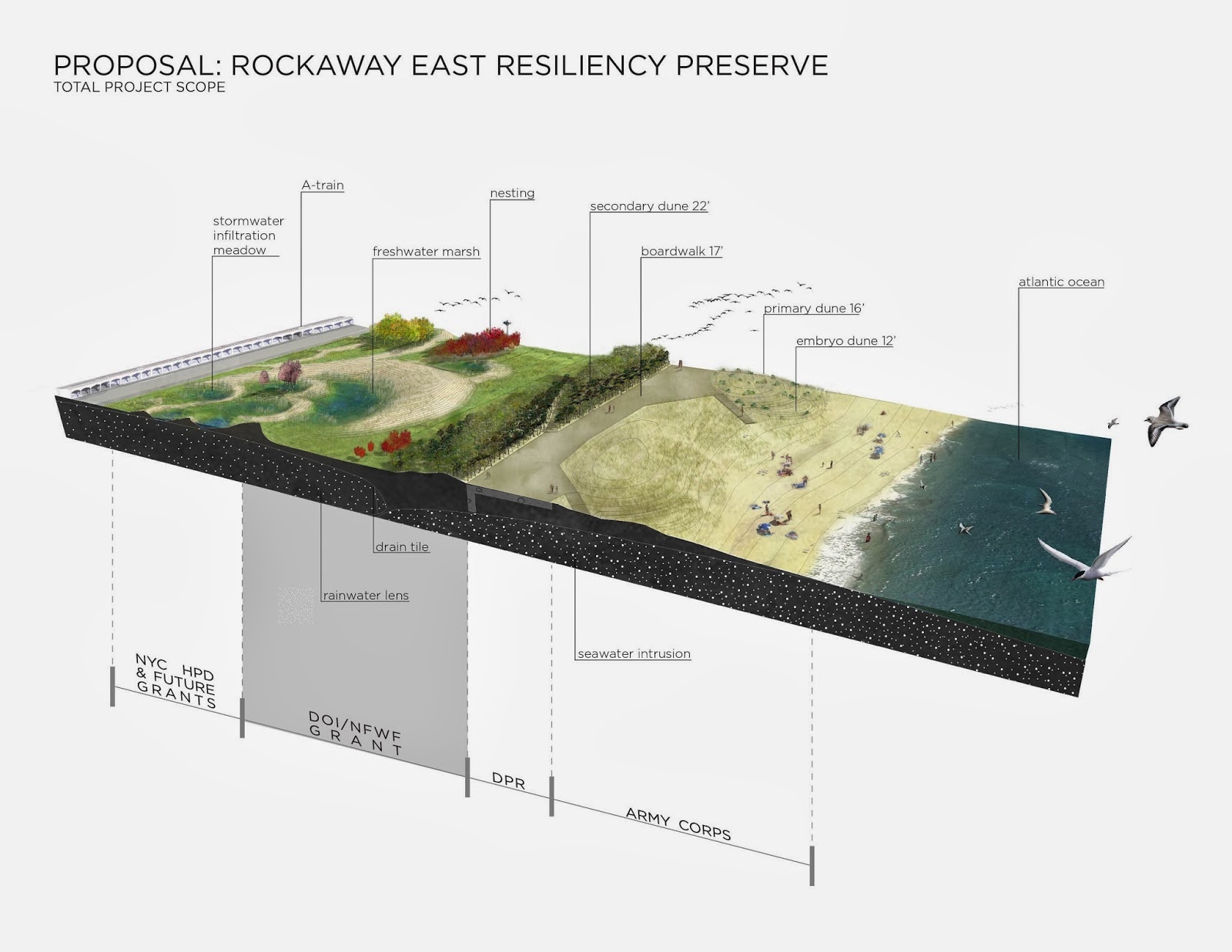 Photo of Local Office Landscape Architecture in Kings County City, New York, United States - 5 Picture of Point of interest, Establishment, General contractor