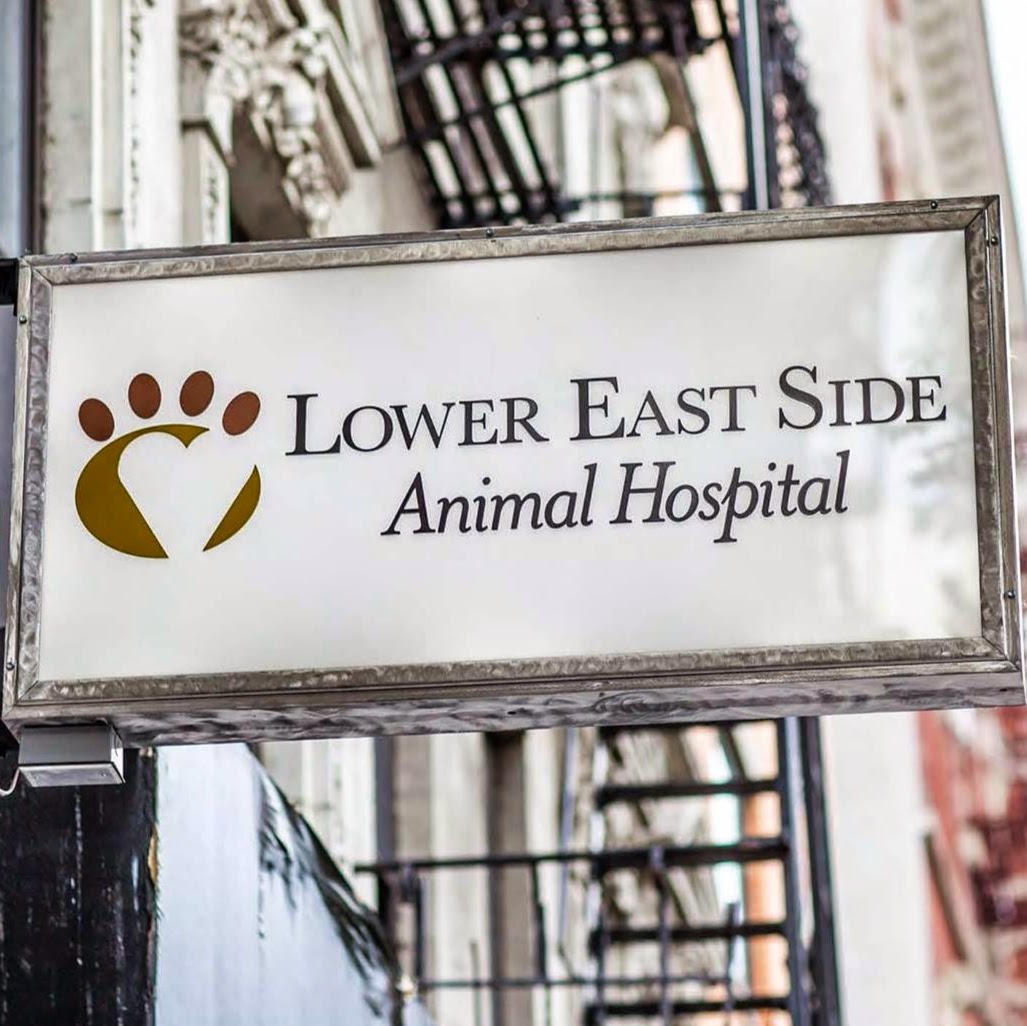 Photo of Lower East Side Animal Hospital in New York City, New York, United States - 1 Picture of Point of interest, Establishment, Veterinary care