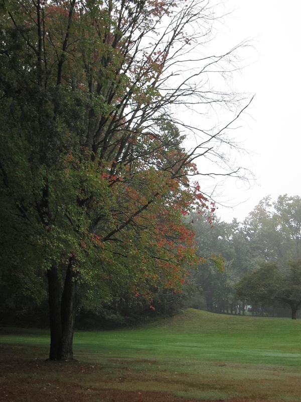 Photo of Glen Rock Area Playground in Glen Rock City, New Jersey, United States - 5 Picture of Point of interest, Establishment