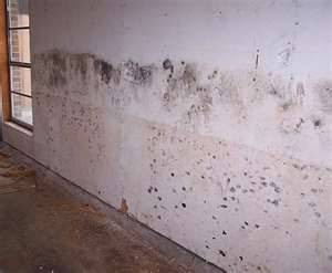Photo of Ace Certified Mold Inspection, LLC in Parlin City, New Jersey, United States - 5 Picture of Point of interest, Establishment