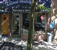 Photo of Animal Healing Arts Of Carroll Gardens in Brooklyn City, New York, United States - 7 Picture of Point of interest, Establishment, Health, Doctor, Veterinary care