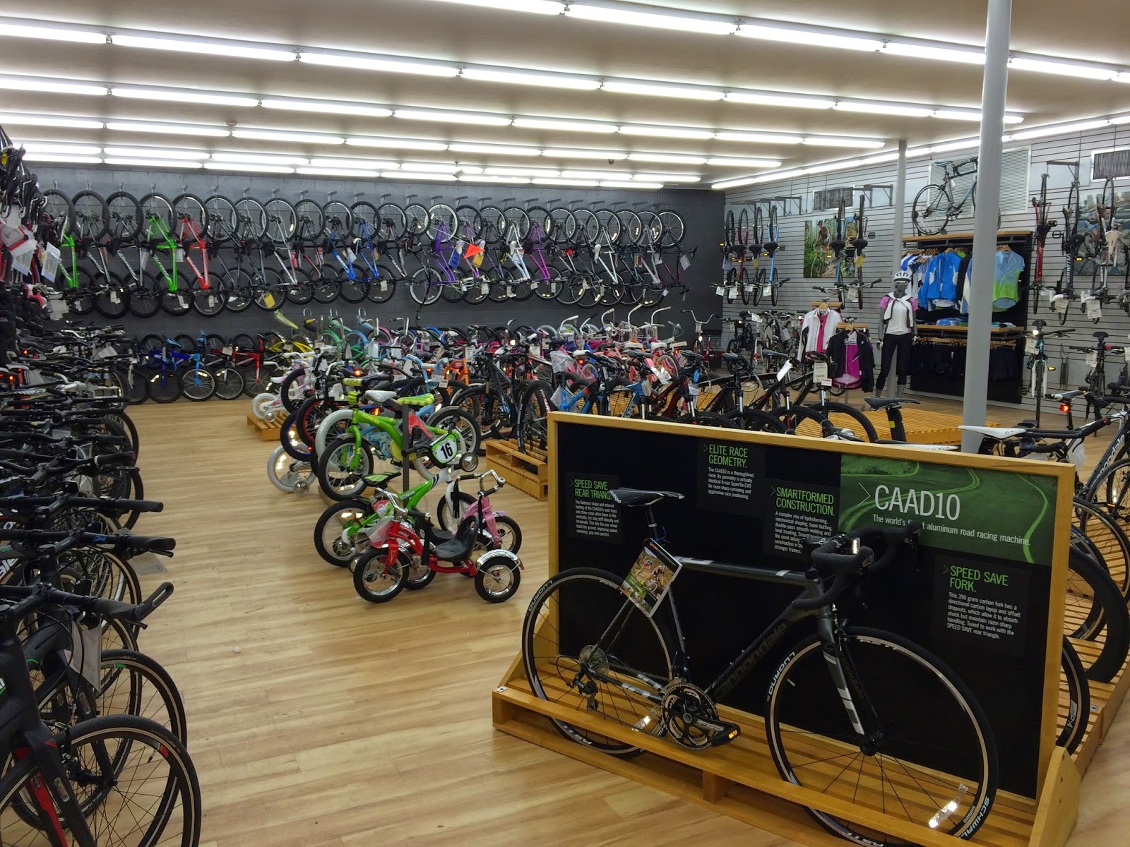 Photo of Mineola Bicycle, Fitness & Mower in Mineola City, New York, United States - 2 Picture of Point of interest, Establishment, Store, Bicycle store