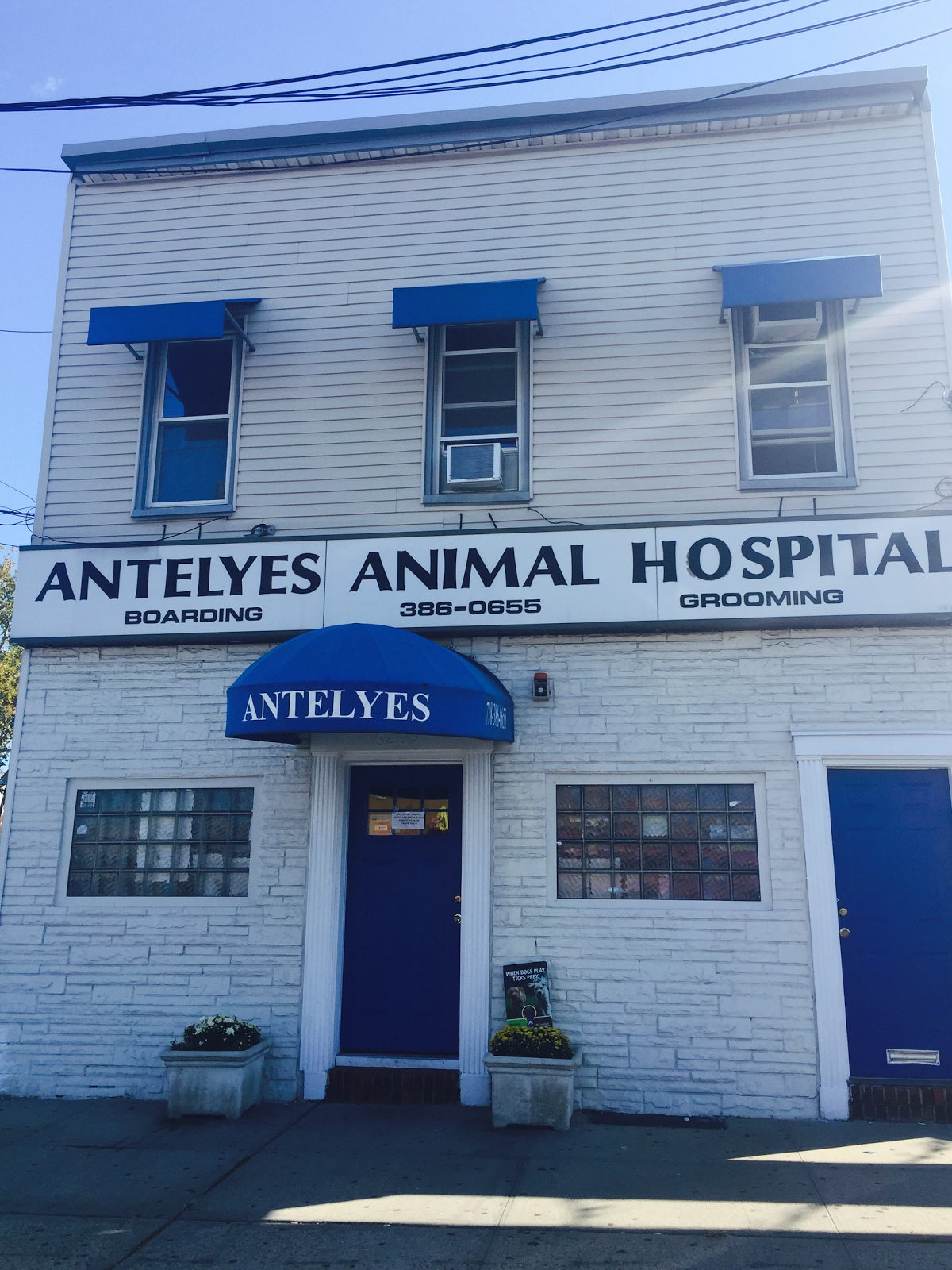 Photo of Antelyes Animal Hospital in Flushing City, New York, United States - 1 Picture of Point of interest, Establishment, Veterinary care