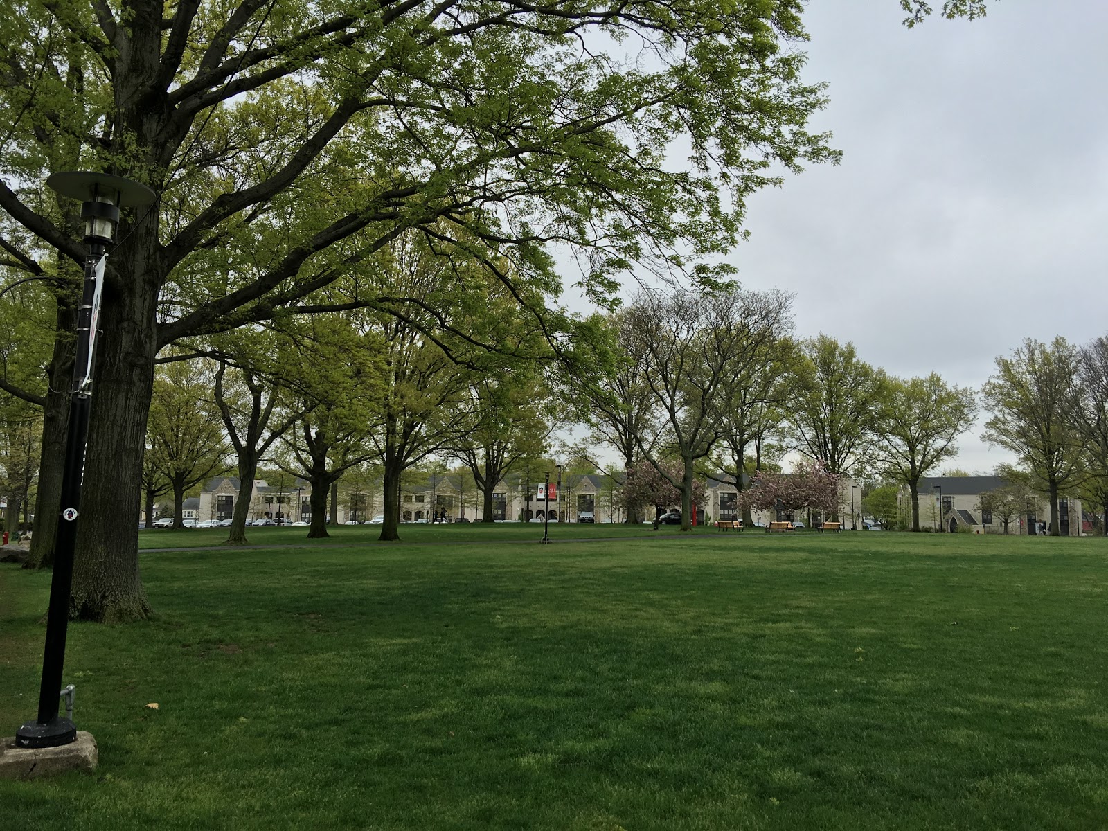 Photo of The Great Lawn in Queens City, New York, United States - 3 Picture of Point of interest, Establishment, General contractor