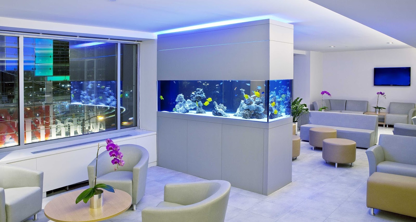 Photo of Okeanos Aquascaping in New York City, New York, United States - 1 Picture of Point of interest, Establishment, Store, General contractor, Pet store, Aquarium