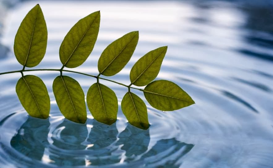 Photo of fresh2o water filtration systems in Hazlet City, New Jersey, United States - 3 Picture of Point of interest, Establishment, Store, Natural feature