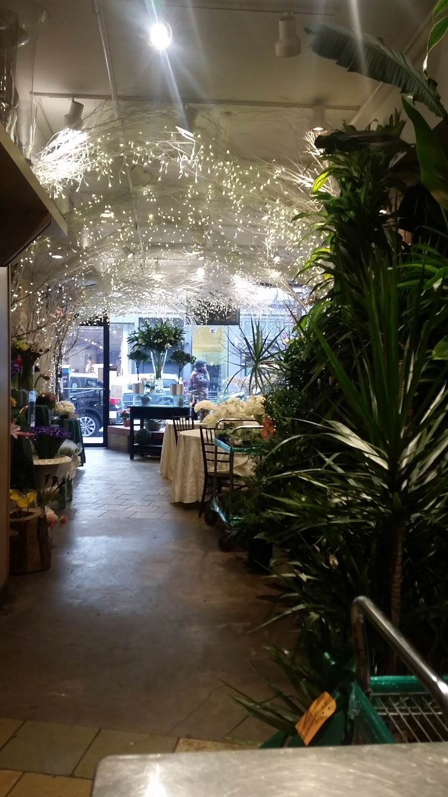 Photo of Ariston Florist in New York City, New York, United States - 3 Picture of Point of interest, Establishment, Store, Florist