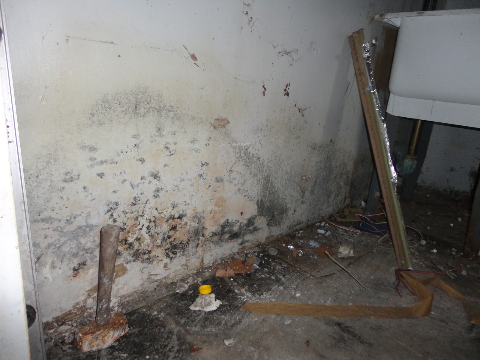 Photo of Mold & Water Damage Service Specialists in Montclair City, New Jersey, United States - 9 Picture of Point of interest, Establishment