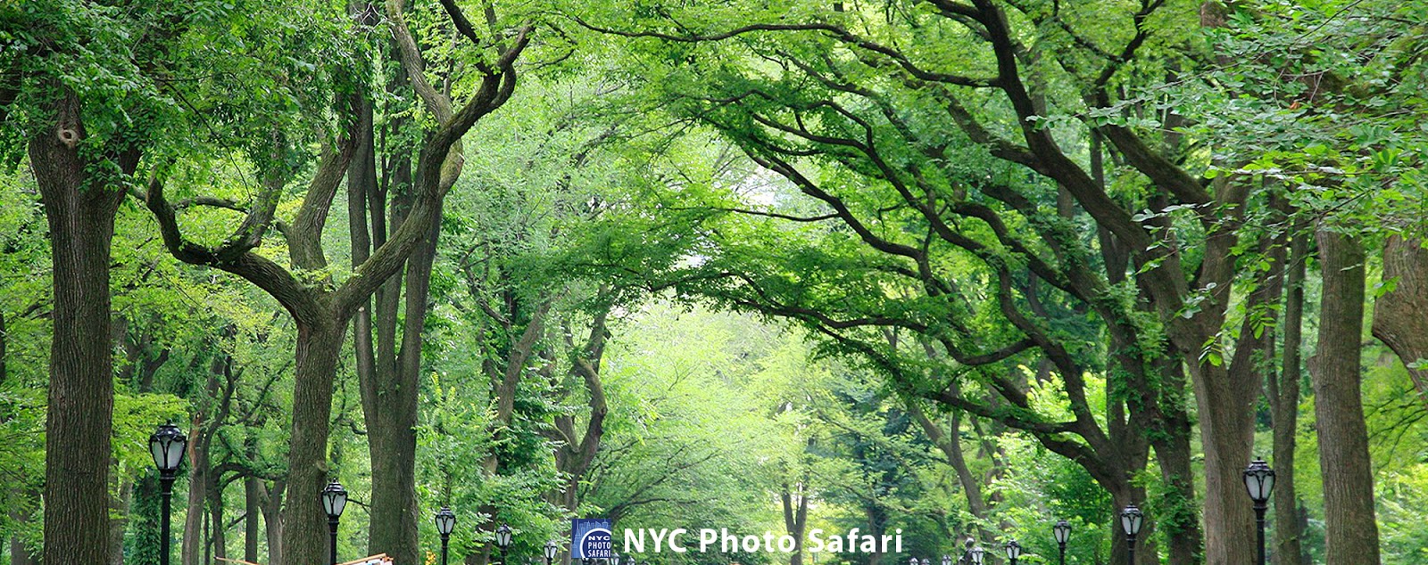 Photo of New York City Photo Safari in New York City, New York, United States - 8 Picture of Point of interest, Establishment, Travel agency