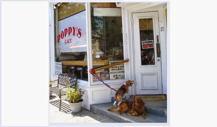 Photo of Poppy's in Rye City, New York, United States - 1 Picture of Food, Point of interest, Establishment, Store, Cafe