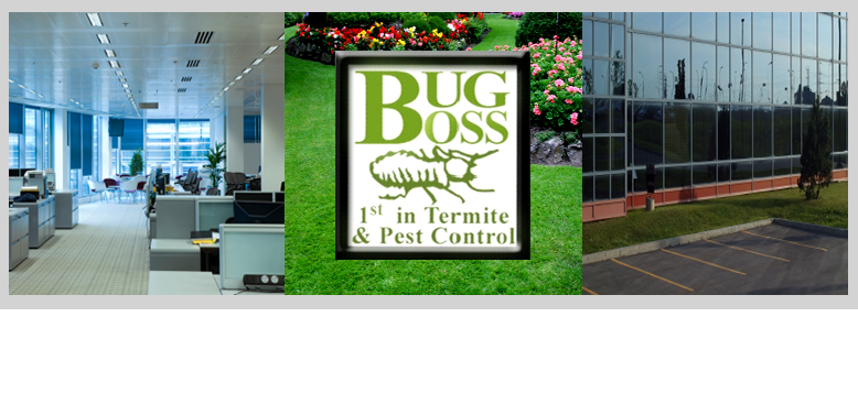 Photo of Bug Boss TERM LLC in Jersey City, New Jersey, United States - 1 Picture of Point of interest, Establishment, Store, Home goods store