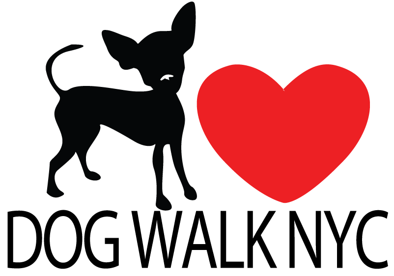 Photo of Dog Walk NYC LLC in New York City, New York, United States - 6 Picture of Point of interest, Establishment