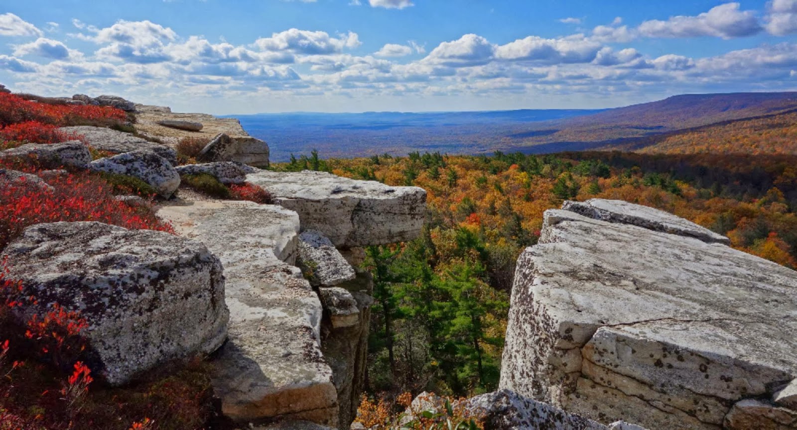 Photo of Discover Outdoors in New York City, New York, United States - 2 Picture of Point of interest, Establishment, Travel agency