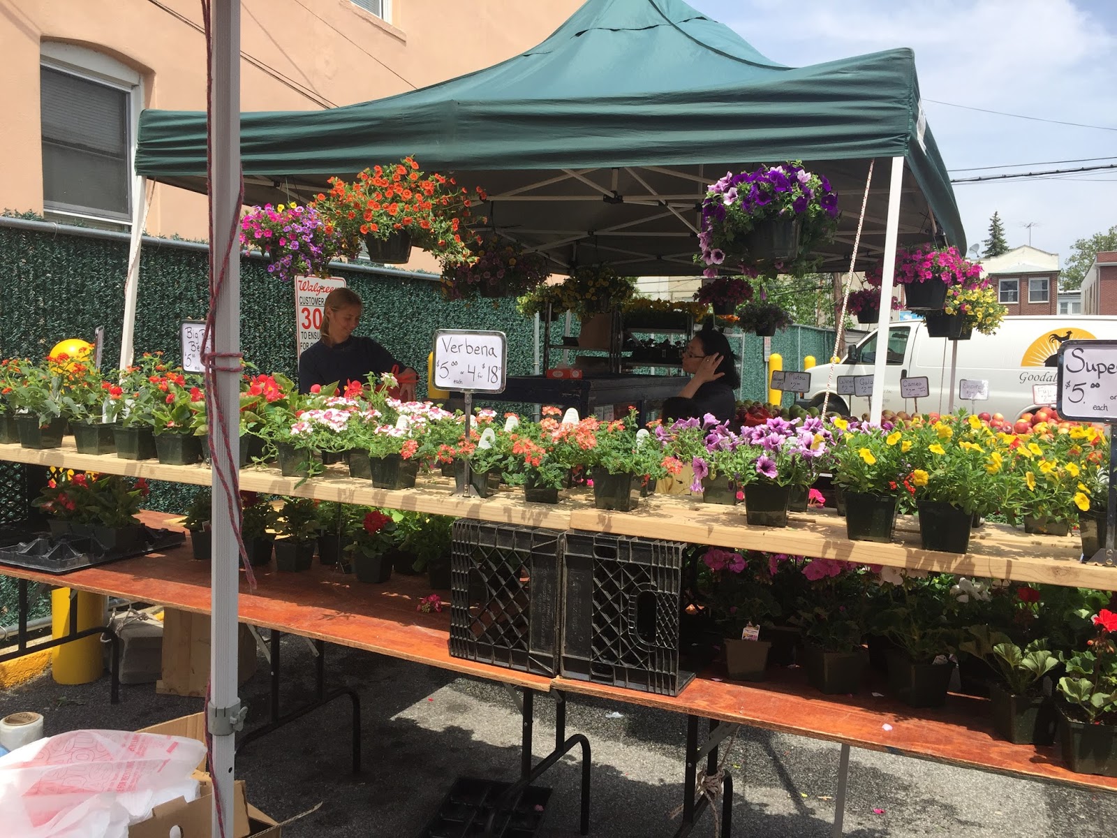 Photo of Bay Ridge Greenmarket in New York City, New York, United States - 6 Picture of Food, Point of interest, Establishment