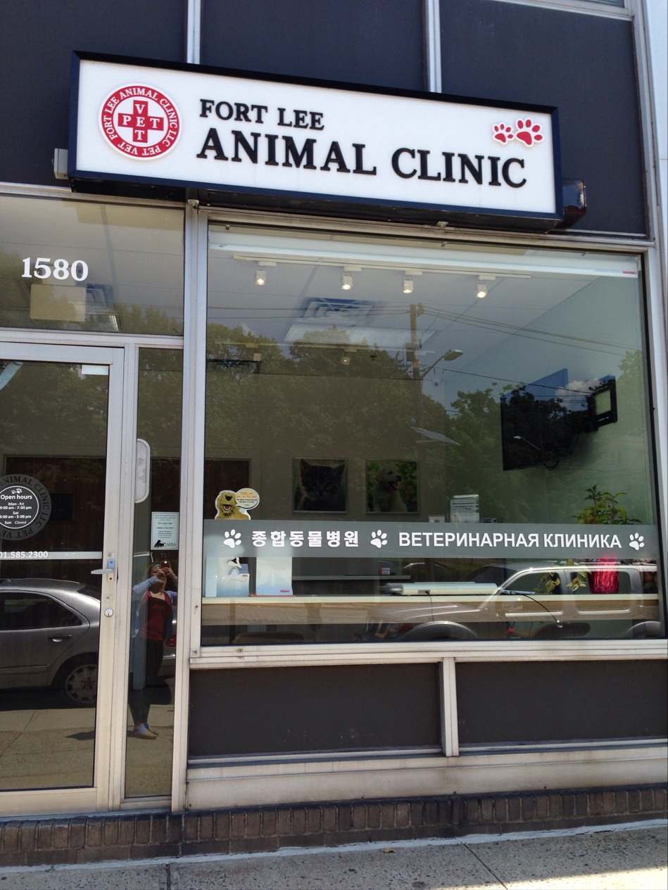 Photo of Fort Lee Pet Vet in Fort Lee City, New Jersey, United States - 2 Picture of Point of interest, Establishment, Veterinary care