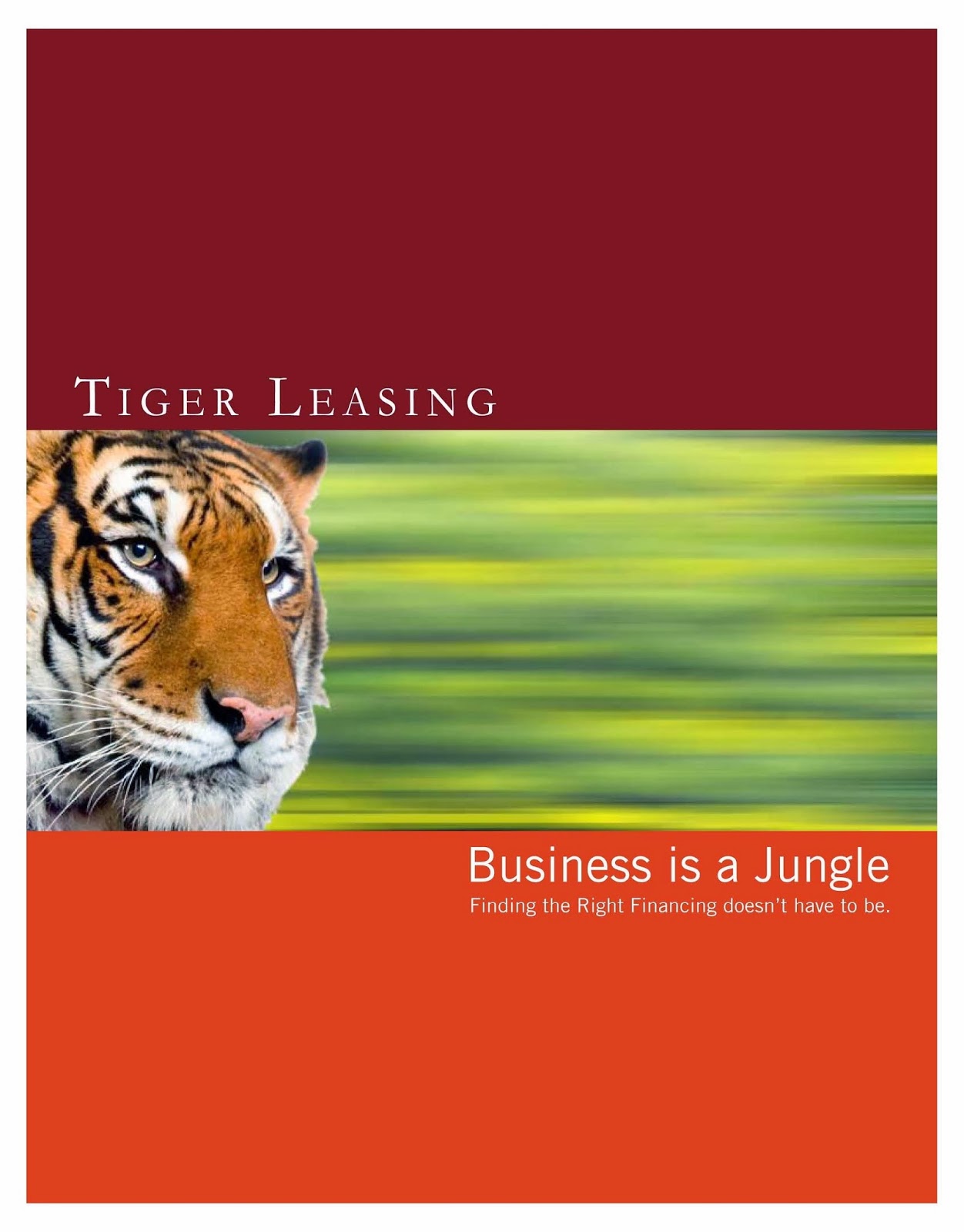Photo of Tiger Leasing in New York City, New York, United States - 2 Picture of Point of interest, Establishment, Finance