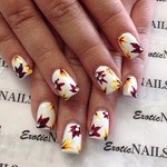 Photo of Exotic Nails in West Hempstead City, New York, United States - 1 Picture of Point of interest, Establishment, Health, Spa, Beauty salon, Hair care