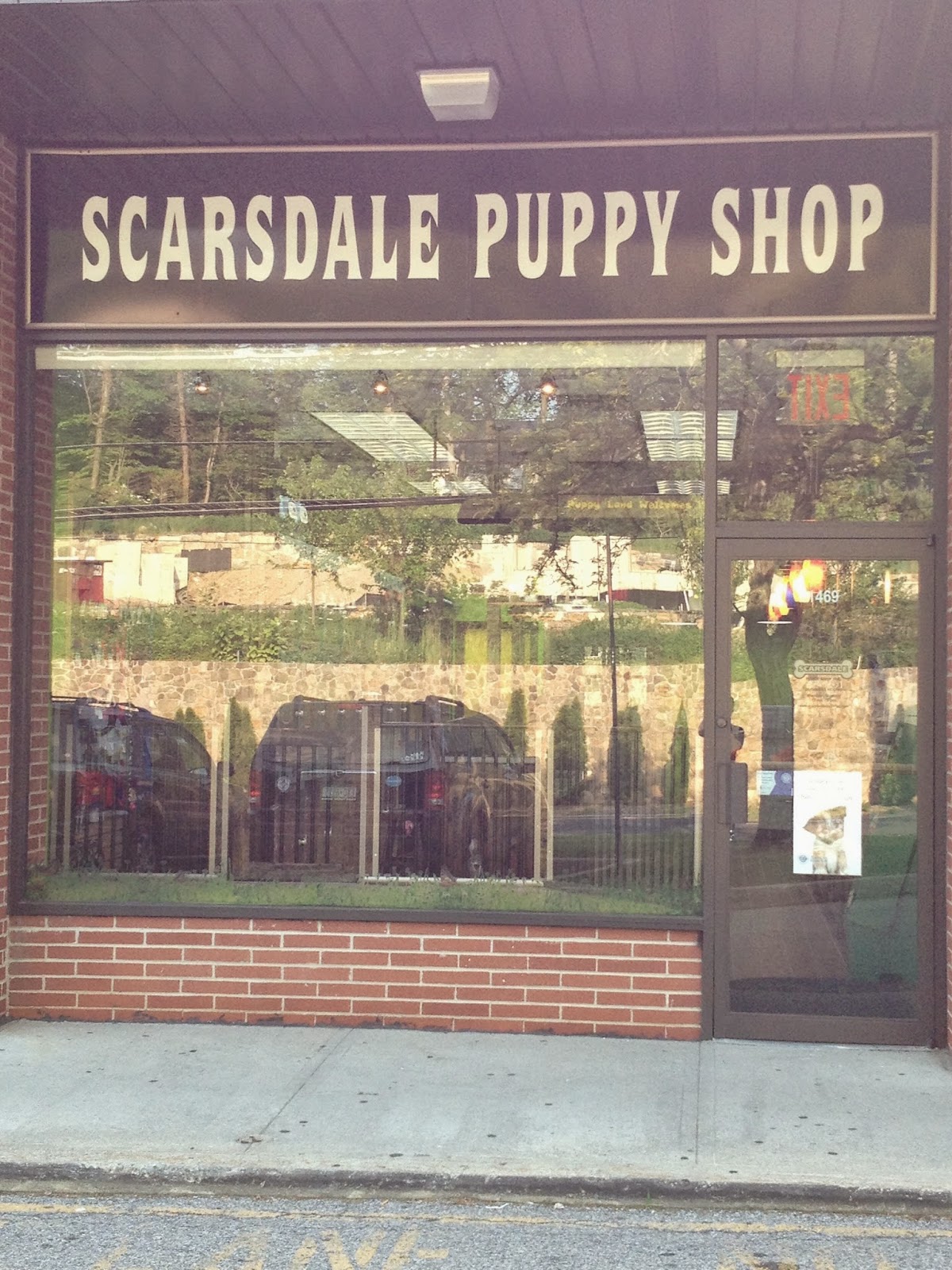 Photo of Scarsdale Puppy Shop in Scarsdale City, New York, United States - 1 Picture of Point of interest, Establishment, Store, Pet store