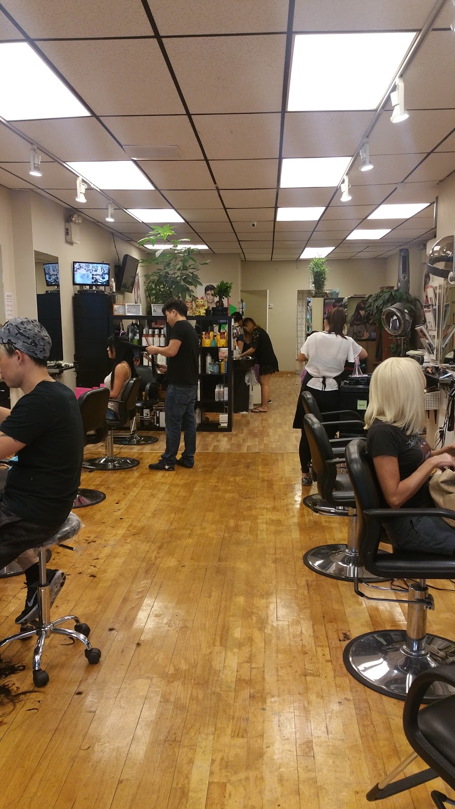 Photo of SEBASTIAN HAIR SALON in Kings County City, New York, United States - 1 Picture of Point of interest, Establishment, Beauty salon